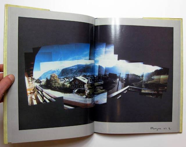 Perspectives - Polaroids 82-84 - David Sylvian : Expect Everything