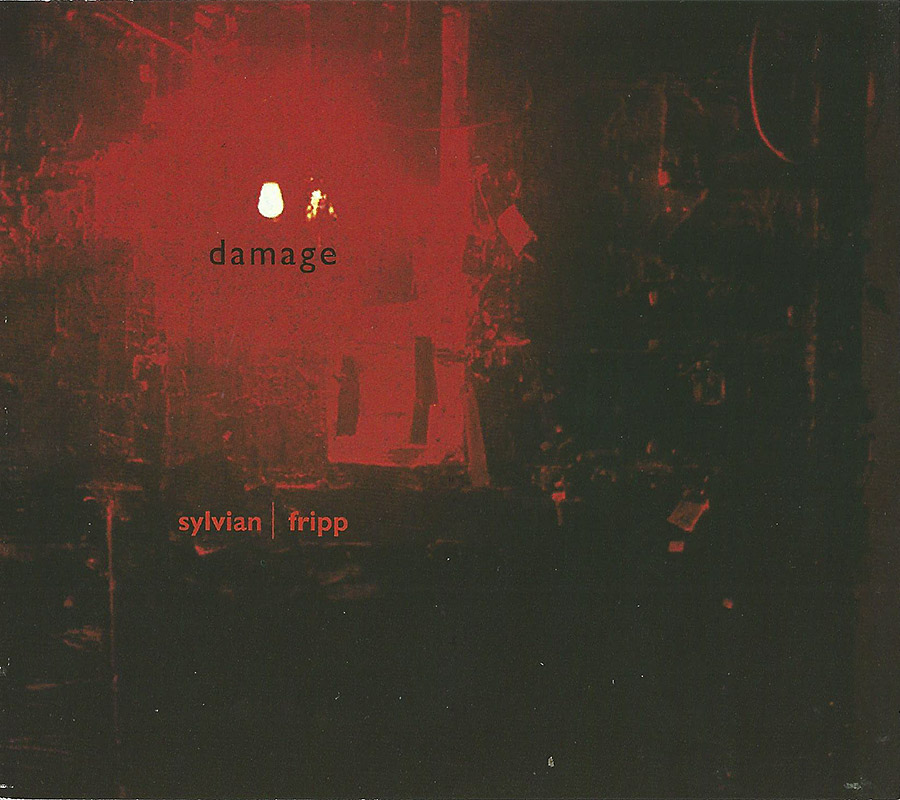 Damage - David Sylvian : Expect Everything And Nothing Less